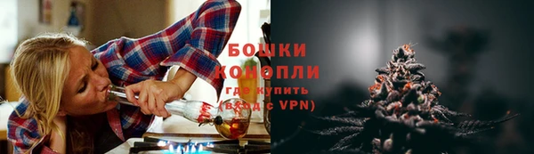 ГАЛЛЮЦИНОГЕННЫЕ ГРИБЫ Алзамай