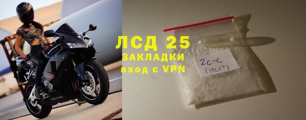 ГАЛЛЮЦИНОГЕННЫЕ ГРИБЫ Алзамай