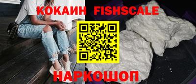 крисы Можга
