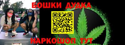 крисы Можга
