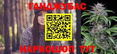 крисы Можга