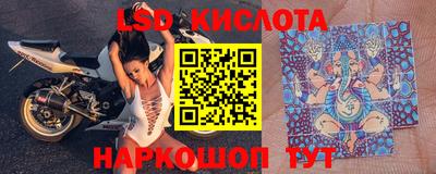 крисы Можга