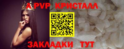 крисы Можга
