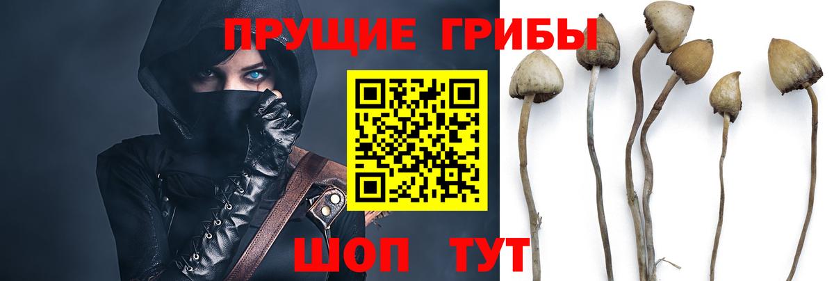 Галлюциногенные грибы ЛСД  Вход с VPN  Псилоцибиновые грибы GOLDEN TEACHER  Ревда 